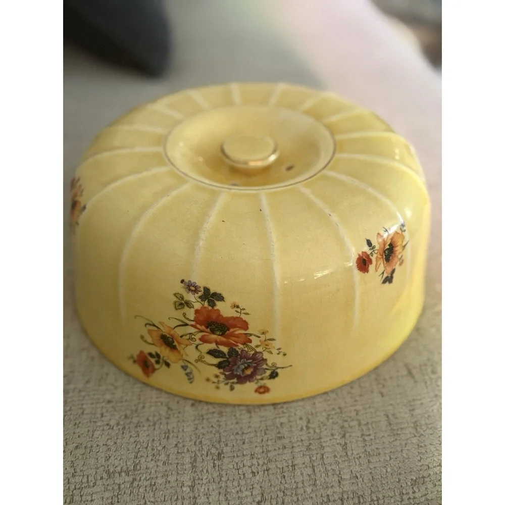 RARE Antique 1920 Limoges‎ China Company Golden Glow Cake Plate with Cover